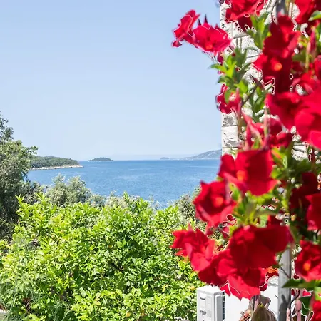 Tri Zala 9237a 公寓